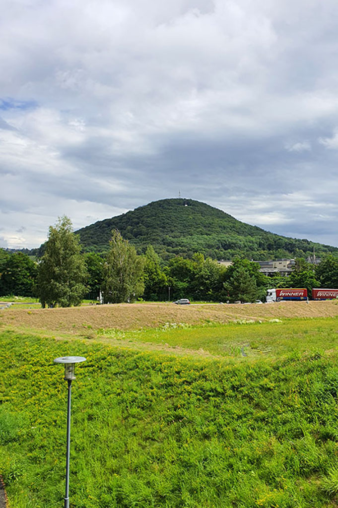 Windberg Freital Blick auf den Windberg. Dieser mit Mischwald begrünte Berg ist Freitals höchstee Erhebung. Foto: WGF